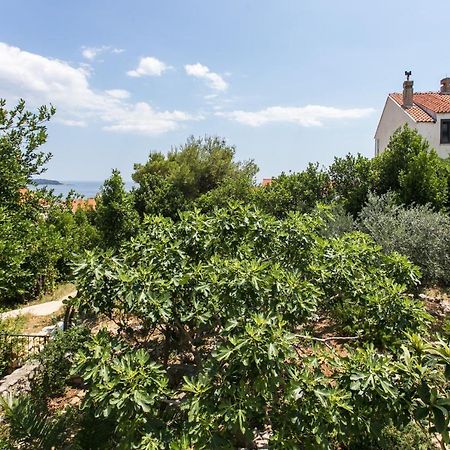 Apartment Tetepave Dubrovník Exteriér fotografie